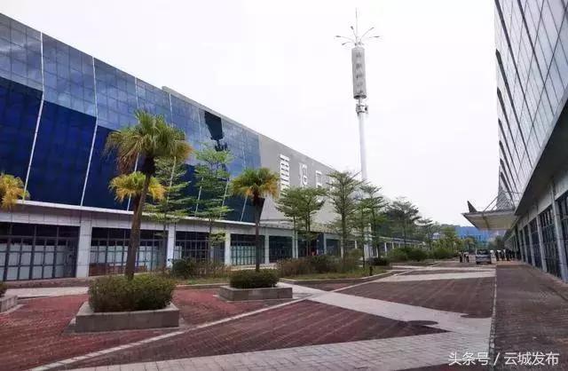 云浮市石展会现状,云浮石展会开幕在即