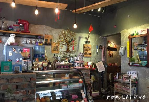 国内最好的猫咪咖啡厅,猫咪咖啡馆有几家