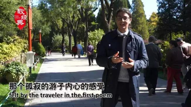 岁岁重阳今又重阳抖音版,岁岁重阳今又重阳视频