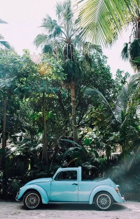 我爱拍照的原因,我爱拍照