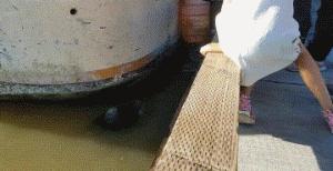 每天都要笑一笑烦恼忘掉,每天都笑一笑烦恼都忘掉