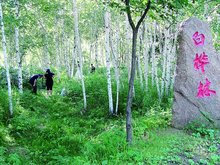 伊春市简介及概况,黑龙江伊春市位置