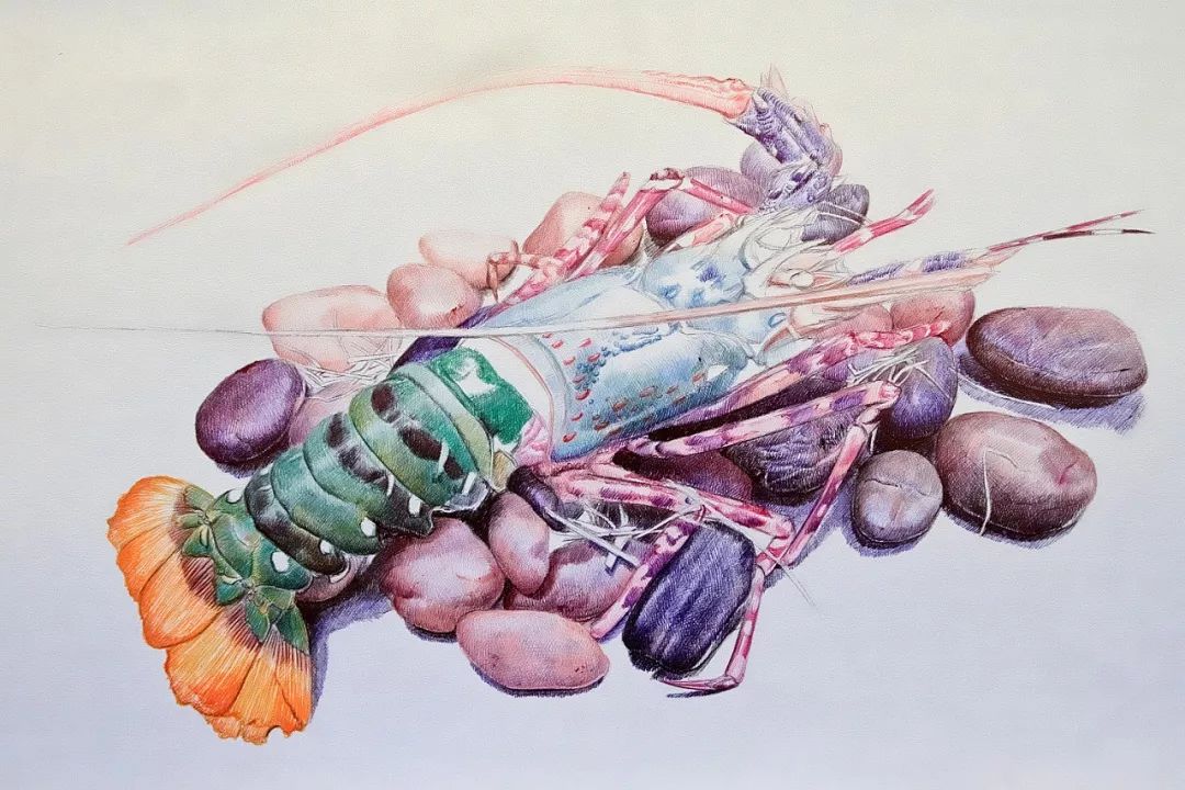 八大圆珠笔,顶级圆珠笔画欣赏