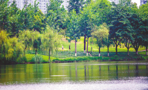 2022成都马拉松赛道,成都马拉松新项目有哪些