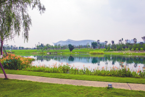 2019成都马拉松赛道示意图,成都马拉松赛道纪录