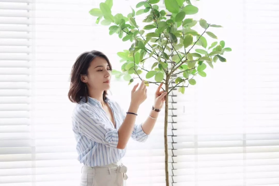 58平米老破房神级爆改,28平米老房爆改精致四居后续