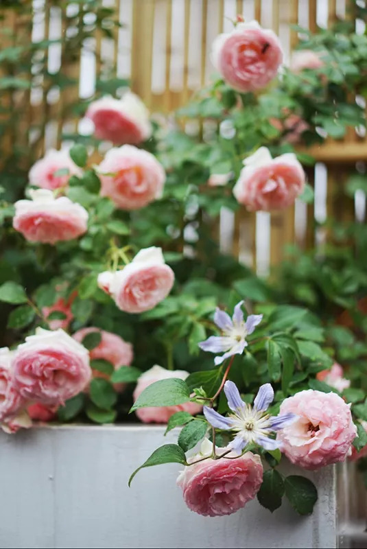 58平米老破房神级爆改,28平米老房爆改精致四居后续