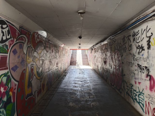 vivo闈炲嚒,vivox23闈炲嚒鎽勫奖