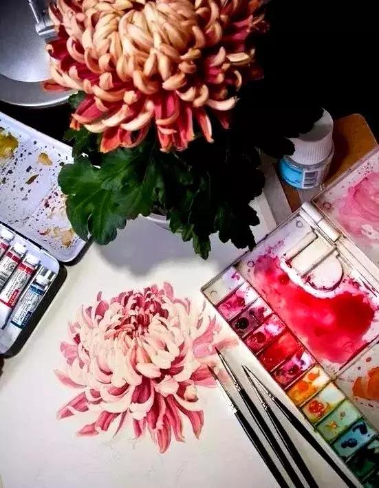 推荐一下自己常用的绘画工具,初学者必备绘画工具