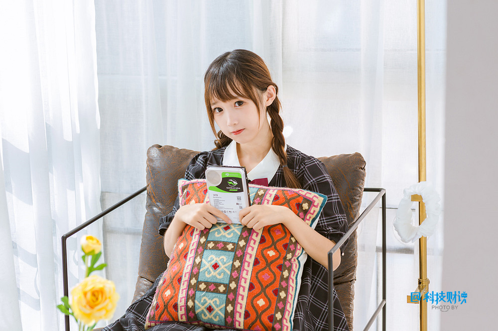 希捷硬盘大容量推荐,希捷酷鱼pro14tb机械硬盘