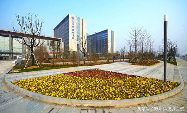 复旦医院肿瘤专家出诊时间,复旦大学附属肿瘤专家门诊时间表