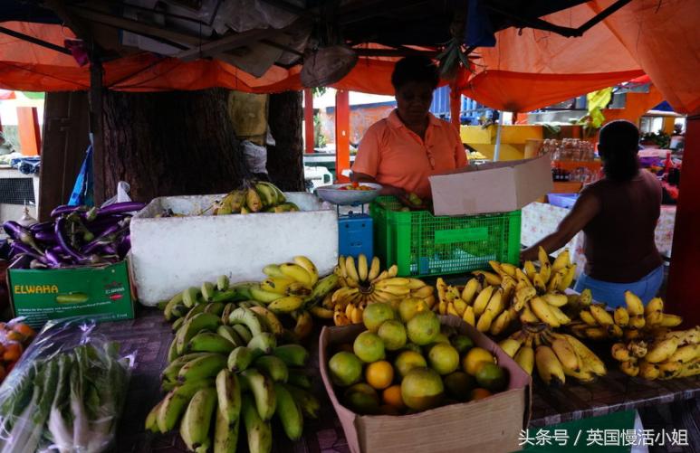 塞舌尔旅游自由行推荐,塞舌尔旅游自由行攻略