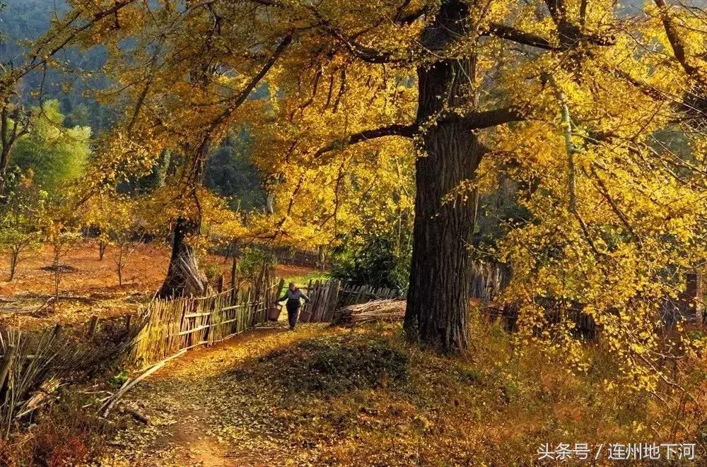 回忆连州,连州在哪里呀