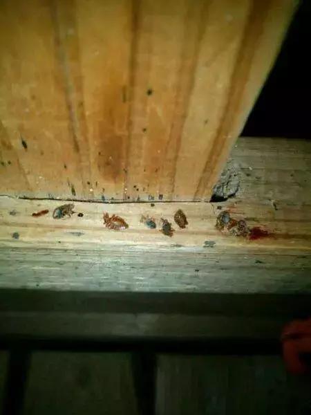 香港的棺材房是怎么样的,香港棺材房为什么那么多人住