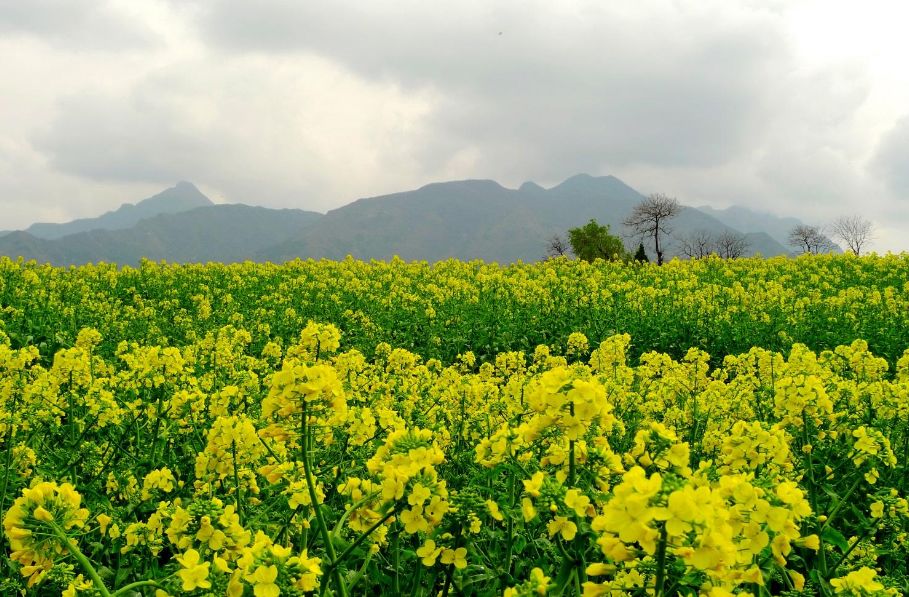 乘风破浪的励志诗词,乘风破浪的原创诗