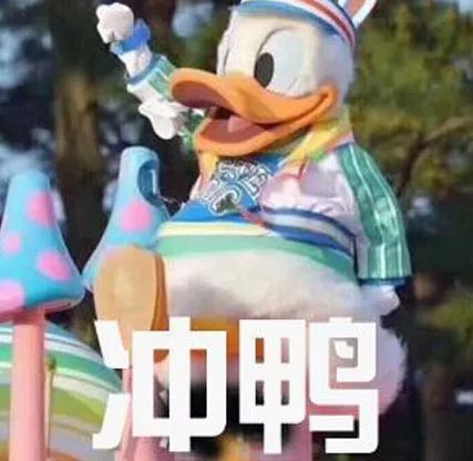 双十一攻略！求放过我的钱包呀！