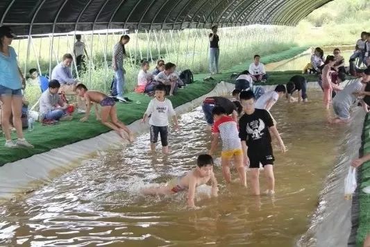 亲子网红庄园,网红亲子农庄在哪里