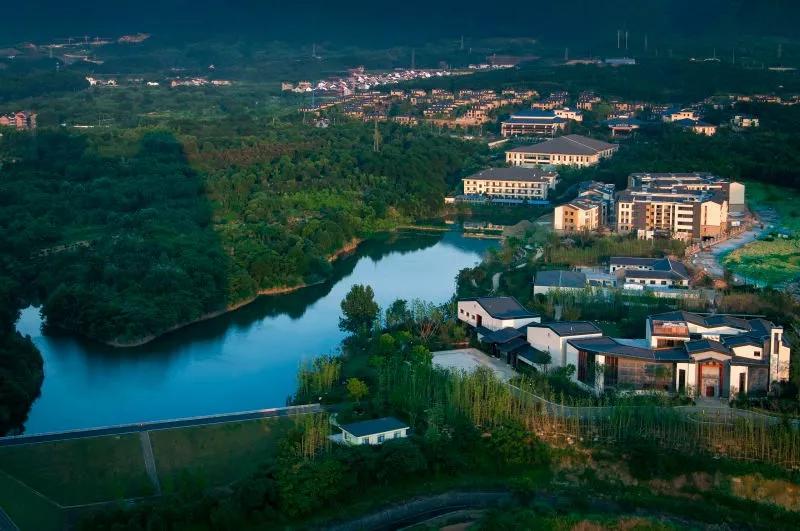 “望闻食嗅”皆养生……桐庐开启大杭州首条中医药健康养生之旅！