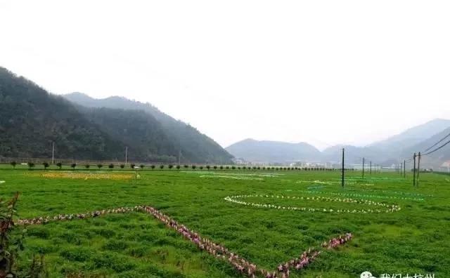 “望闻食嗅”皆养生……桐庐开启大杭州首条中医药健康养生之旅！