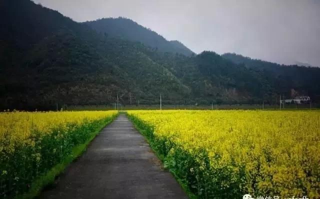 “望闻食嗅”皆养生……桐庐开启大杭州首条中医药健康养生之旅！