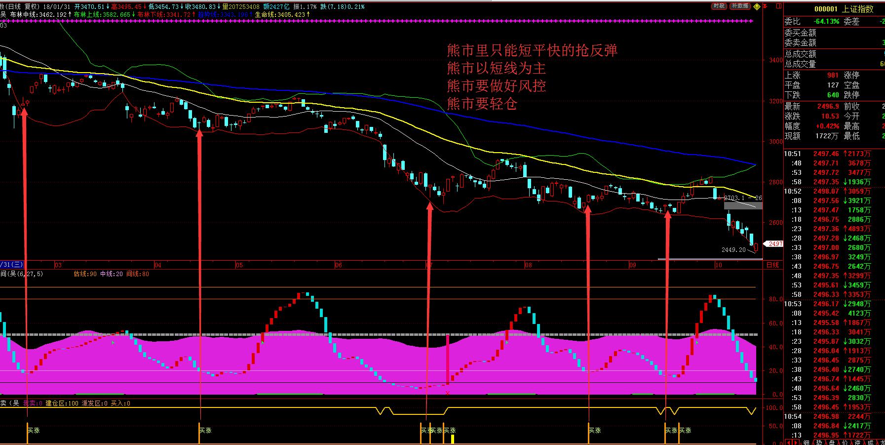 炒股养家熊市操作技巧,炒股秘籍怎样选股