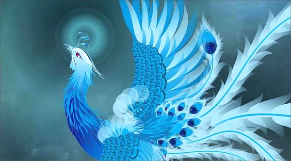 现代人对于凤凰究竟存在多少误解？凤凰和其他神鸟究竟有何区别？