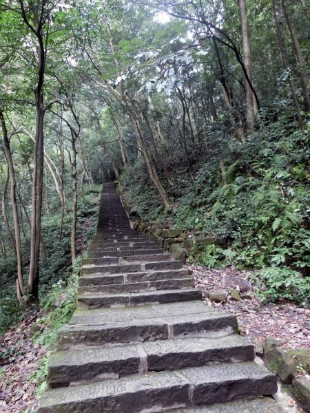 张家界国家森林公园天门山两日游,张家界天门山自由行攻略一日游
