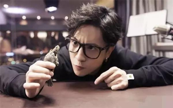 中国第一网红是谁,中国网红第一人是谁2019