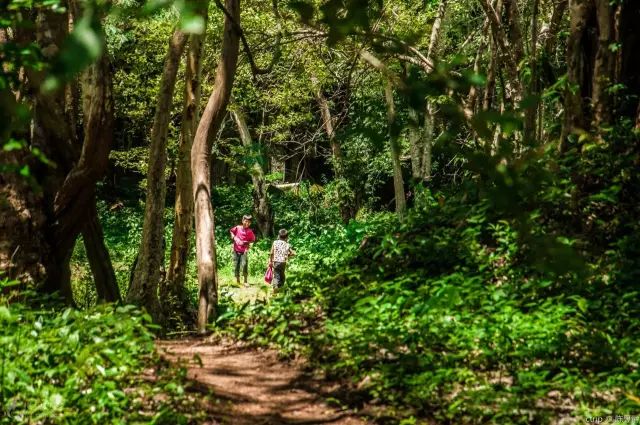 柬埔寨的自然风光和风土人情,柬埔寨惊艳时光