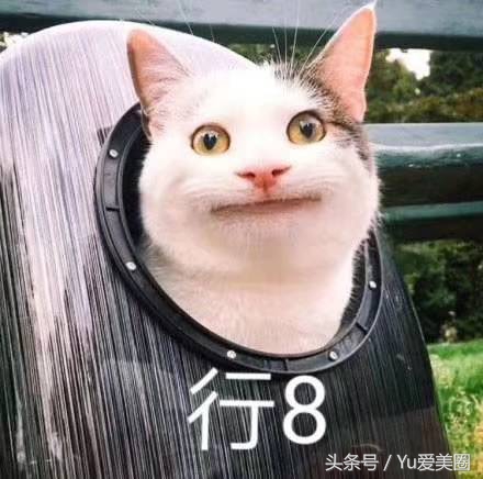 你还在每天敷面膜吗图文,你还在敷补水面膜吗