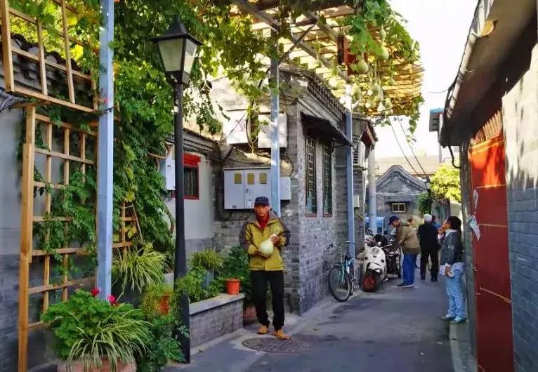 瓜果飘香的丰收季,内蒙古丰收节上瓜果飘香