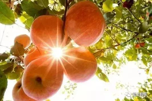 官宣：本周五来昌平这地儿，保准吃爽玩嗨！