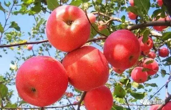 官宣：本周五来昌平这地儿，保准吃爽玩嗨！