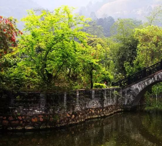 广州古典园林推荐,广州岭南园林有哪些