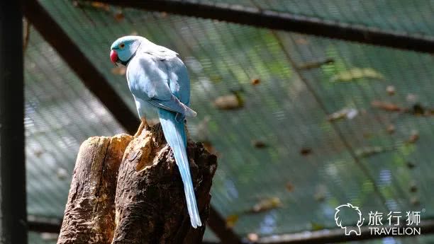 你喜欢什么样的海水,你喜欢什么样的海