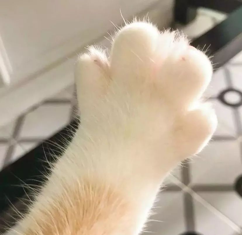 最新特价图书优惠,重磅消息免费阅读