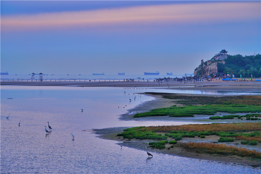 河北最宜居的城市有哪几个,河北最宜居的城市是哪个