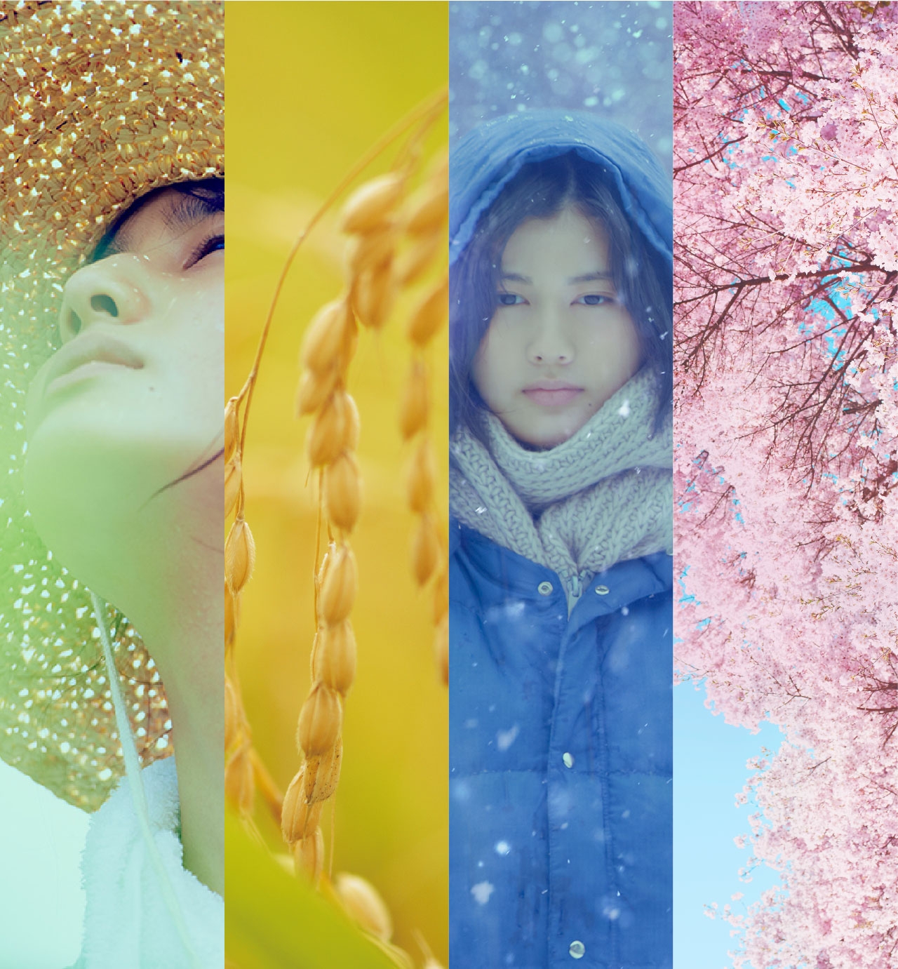 10大高分日本电影排行 (日本电影史上最优秀的影片有哪些)