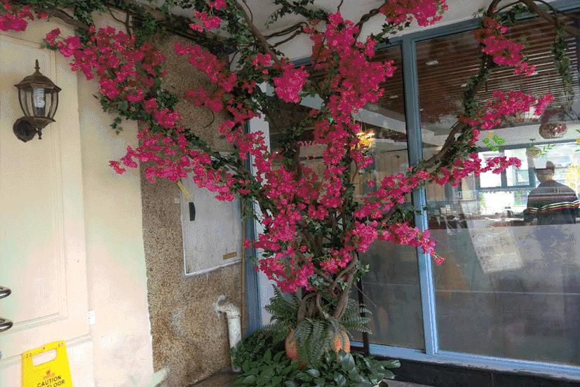 成都龙湖天街美食排行榜前十名,成都美食排行榜前十名外卖