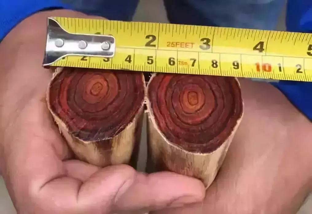 红木家具同材质不同尺寸价格差异,为什么同样红木材质价钱差很多