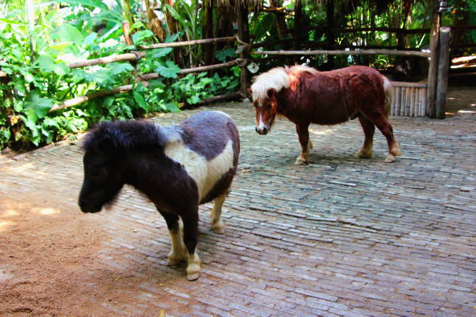 中国旅游前必看攻略,旅游攻略看完这篇文章轻松搞定