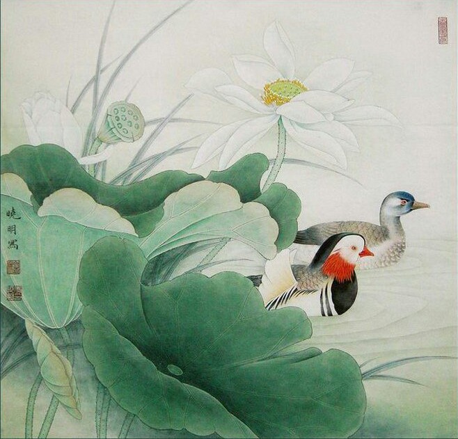 狮子座和狮子座的性格,狮子座和狮子座性格差异大