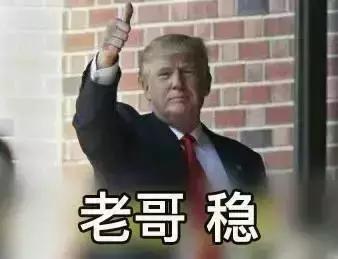 美国人智商欠费，川普带头追捧这个网红，结果全被骗