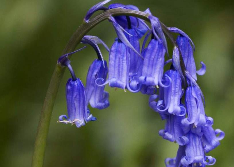 善待没脾气的人,做人要善待每一个人