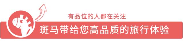 文末福利丨左手双11右手黑五，踩点扫货，这是钱包被掏空的feel~