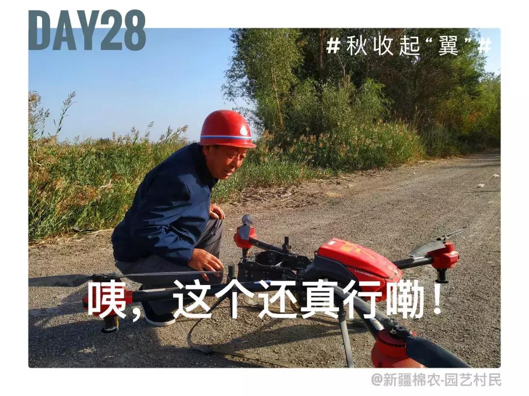 备好酒，听我们秋收起“翼”的故事！