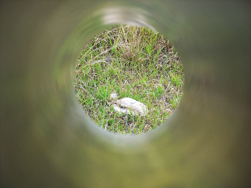 穷驴旅游,港囧游香港