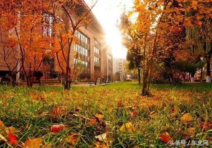 哈尔滨高校打卡,哈尔滨的风向标著名打卡地