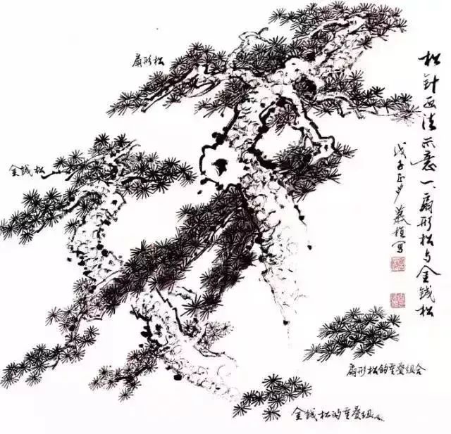 松树怎么画简单又漂亮国画,又简单又好看的松树怎么画
