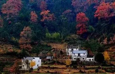 想带着你一起去旅行文案,如果有可能我带你去旅行